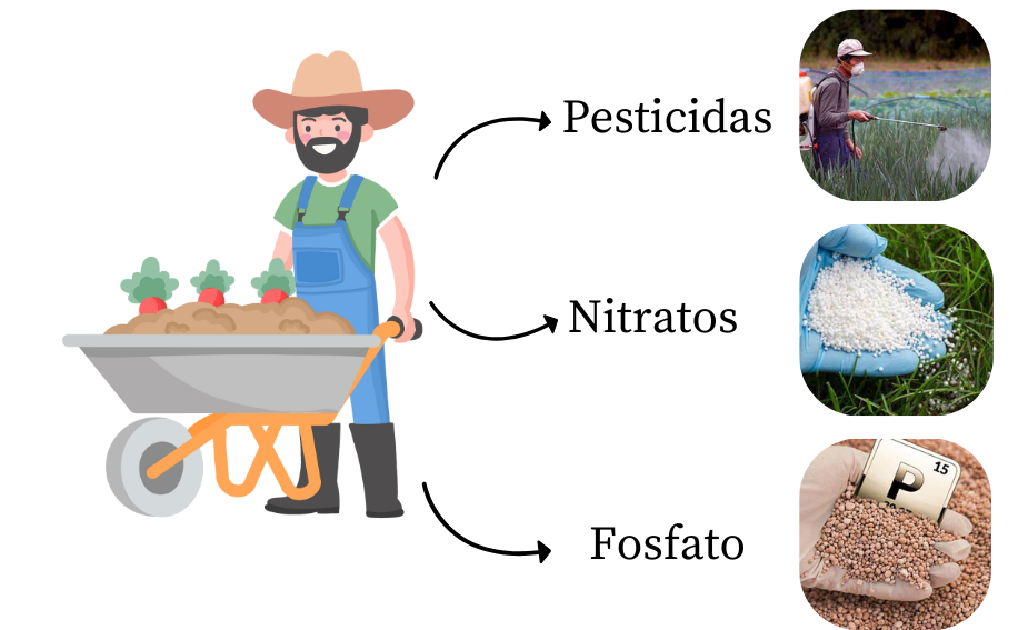 Fig.3- Principais contaminantes na agricultura