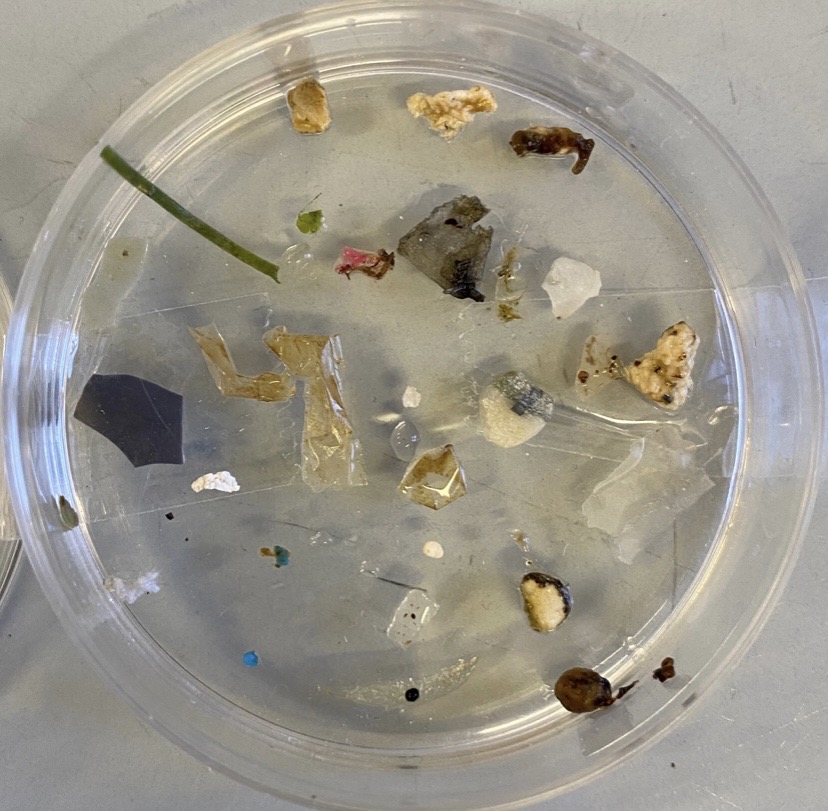 Fig. 10- Microplásticos